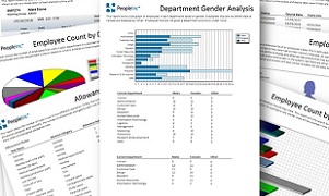 Sample reports generated using the People Inc HR system